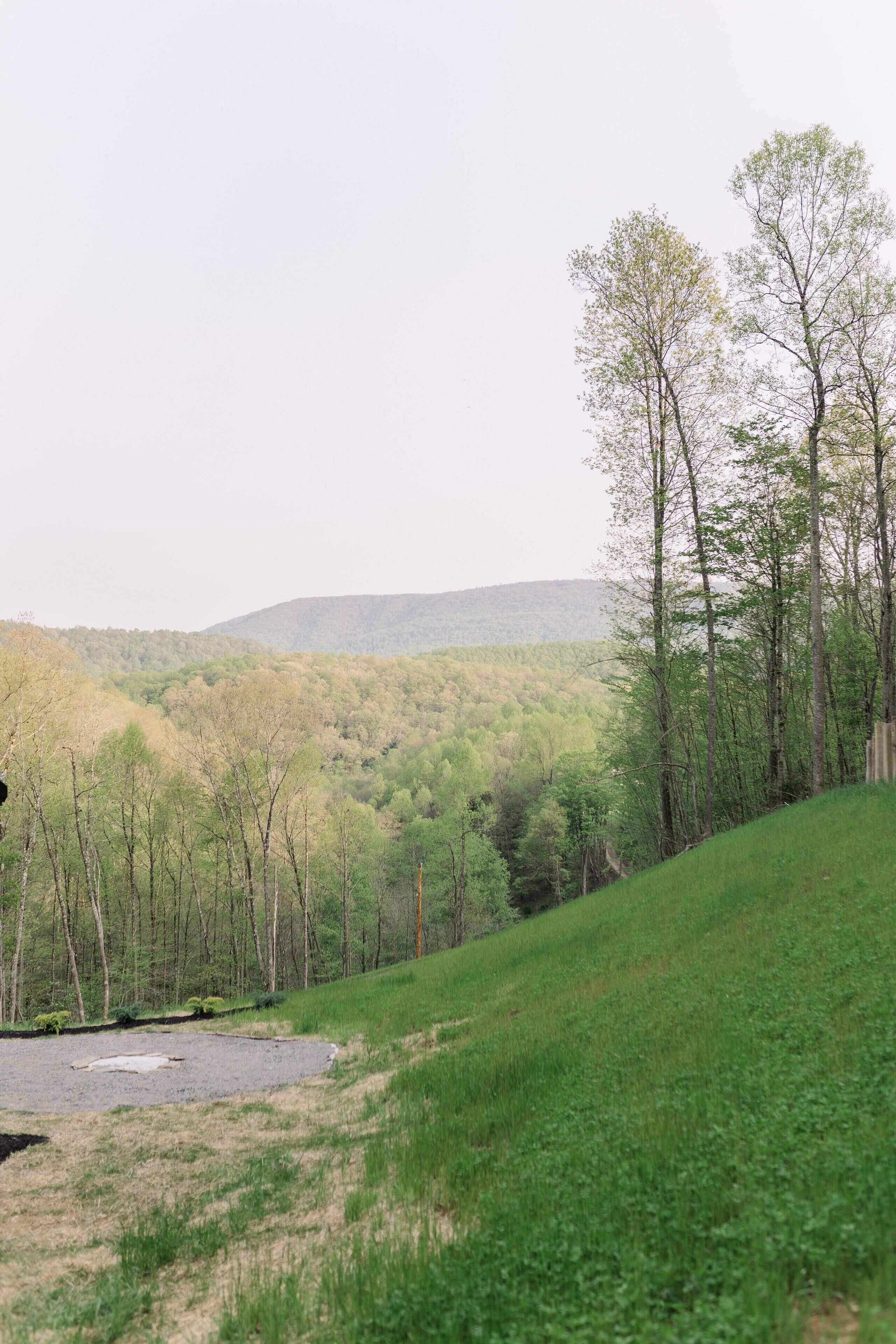 A grassy hillside with trees and a distant hill.