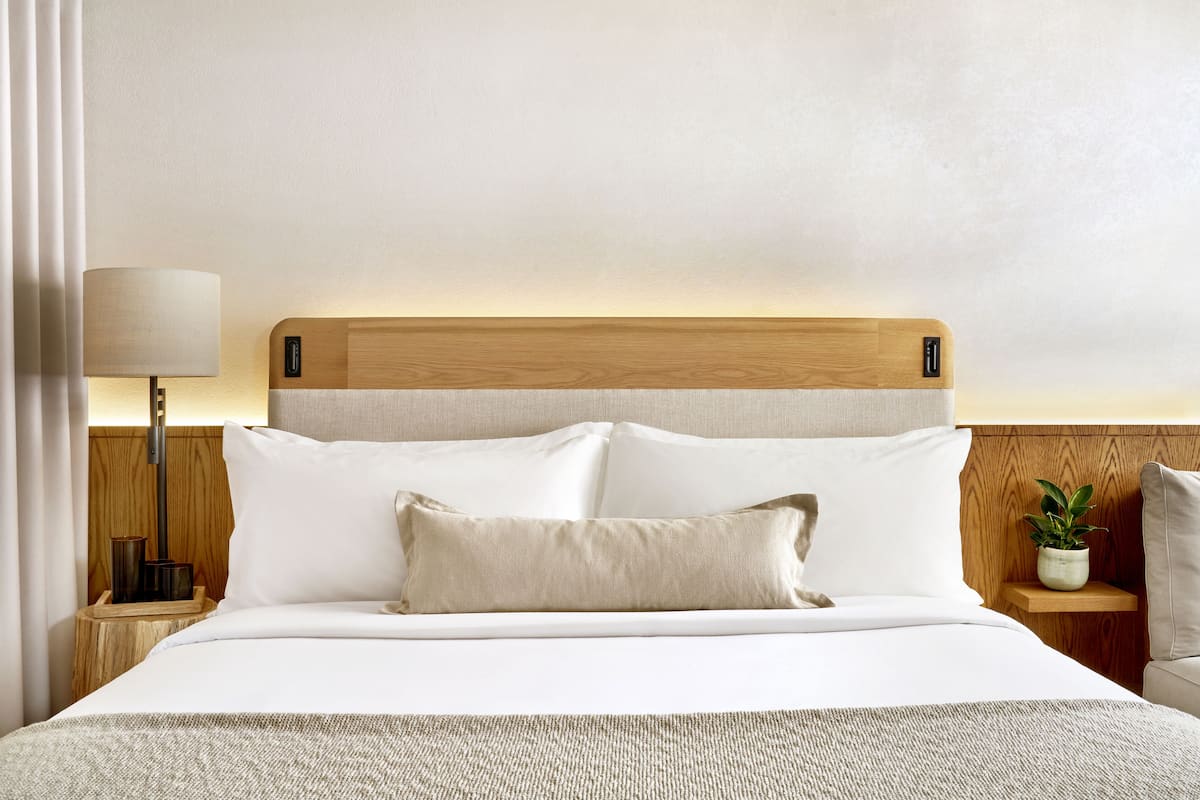 A neatly made bed with a wooden headboard, a bedside lamp, and a small plant on a nightstand.