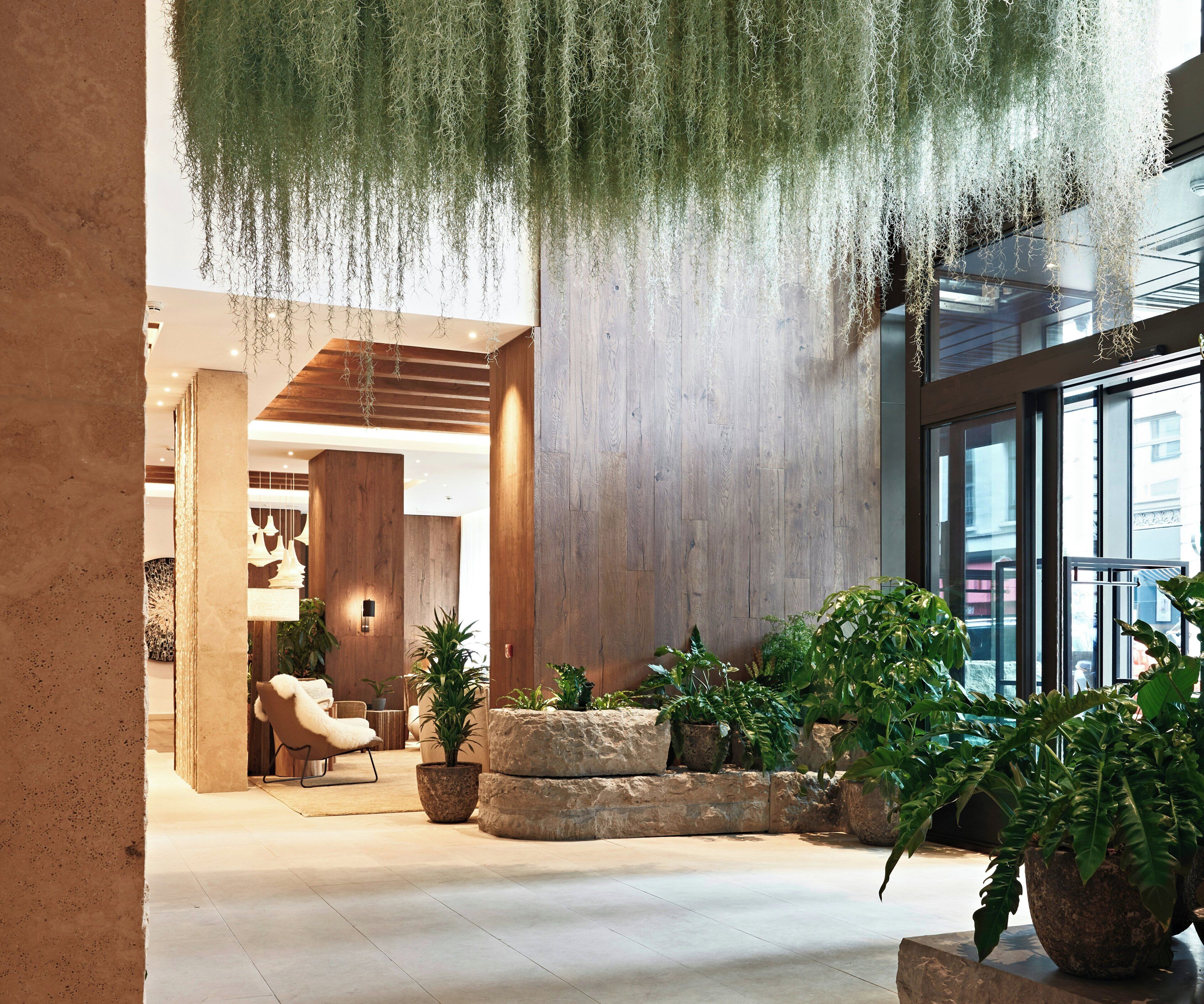 Un vestíbulo amplio con techo alto, paneles de madera y plantas colgantes. Hay varias macetas con plantas y una zona de estar con una silla.