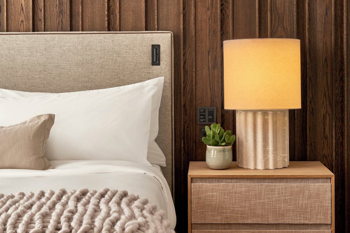 A bedroom with a bed, nightstand, lamp, and a potted plant.