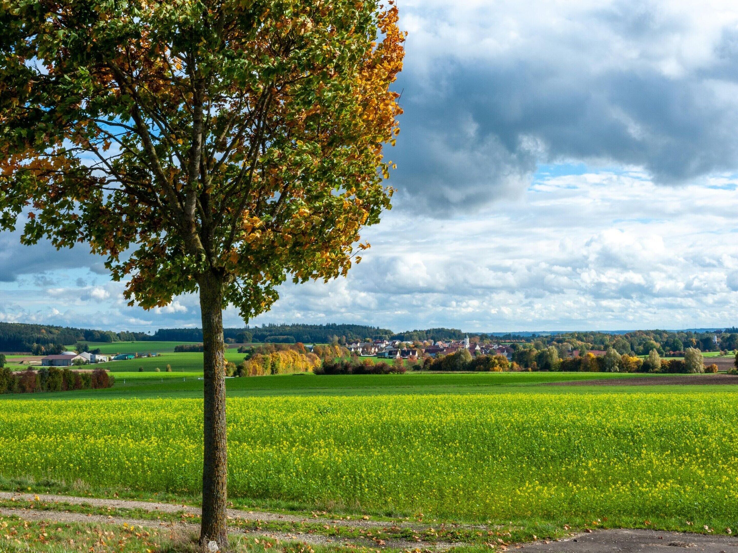 Blick von der Unterkunft