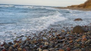 Una playa rocosa con olas rompiendo sobre la orilla.