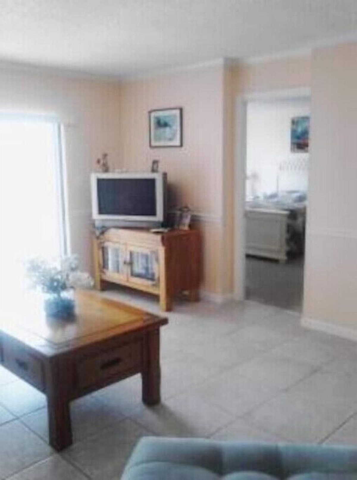 Imagen de perfil del propietario o de la propietaria