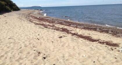 Ferienhaus Ostseebrandung- Haus Seedpferdchen