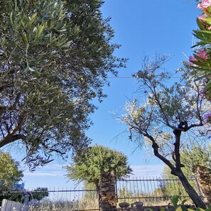 A stone wall, a metal fence, and trees with green foliage. - Welcomely - La Casa Di Rita - Sa Capannizza (Budoni)