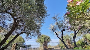 A garden with olive trees and flowering plants, a stone wall, and a metal fence. - Welcomely - La Casa Di Rita - Lu Nibbaru (Budoni)