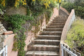 A stone staircase with a metal railing, surrounded by greenery and yellow flowers.