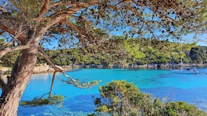 A coastal landscape with clear blue waters, rocky shores, and dense greenery. - Welcomely - Terrazza Romantica sul Mare di Olbia (Olbia)