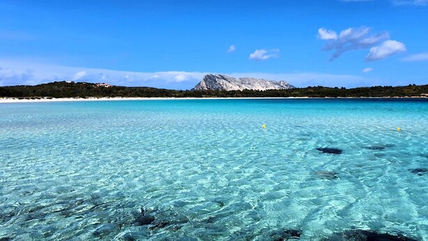 Ein klares türkisfarbenes Meer mit einem weißen Sandstrand und einem Berg im Hintergrund.
