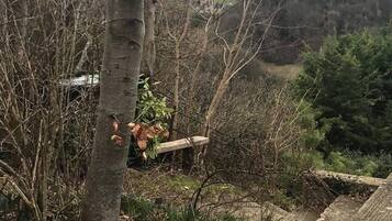 Apartment, Multiple Beds | Property grounds