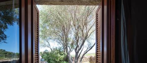 Apartment | 1 Schlafzimmer