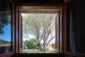 A window with a view of a tree and garden.