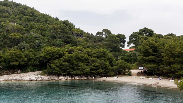 A coastal area with a beach, rocky shoreline, and dense forest. - Apartments Skurla - Studio Apartman (Mljet)