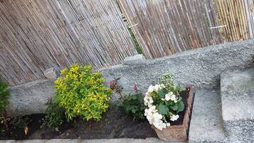 Detalle exterior