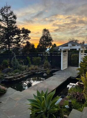 A garden with a pond, a gazebo, and a variety of plants.