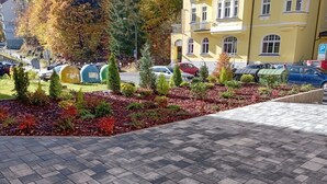 Un vialetto lastricato con un'area giardino curata, con arbusti e alberi da siepe.