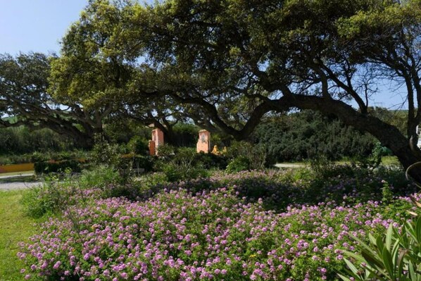Appartement | 2 chambres