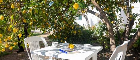 Departamento | 1 habitación