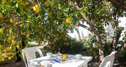 Appartamento Melograno