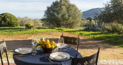 Casa Oliveto 2 in Galtell