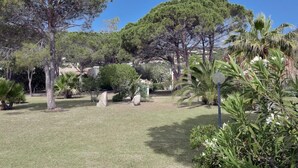 Um jardim bem cuidado, com várias árvores, gramado e um caminho de pedra.