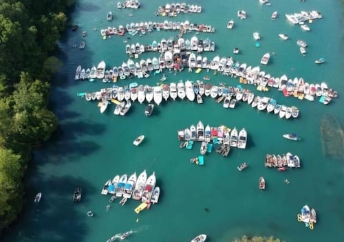 Fishing / Hunting / Boating - Dream Location -Boats Also Available For Rent 