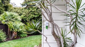 A garden with various plants and a white wall with a green electrical box. - La Jolla Shores Oceanview Retreat (San Diego)