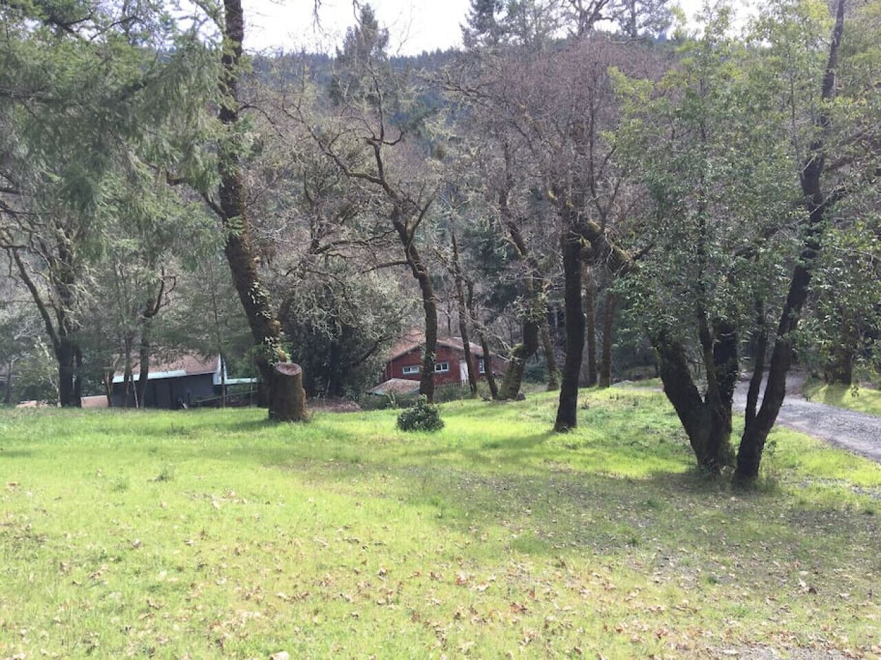 A grassy area with trees and a red building in the background.