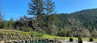 Avenue of the Giants Caraway Cottage (#3)