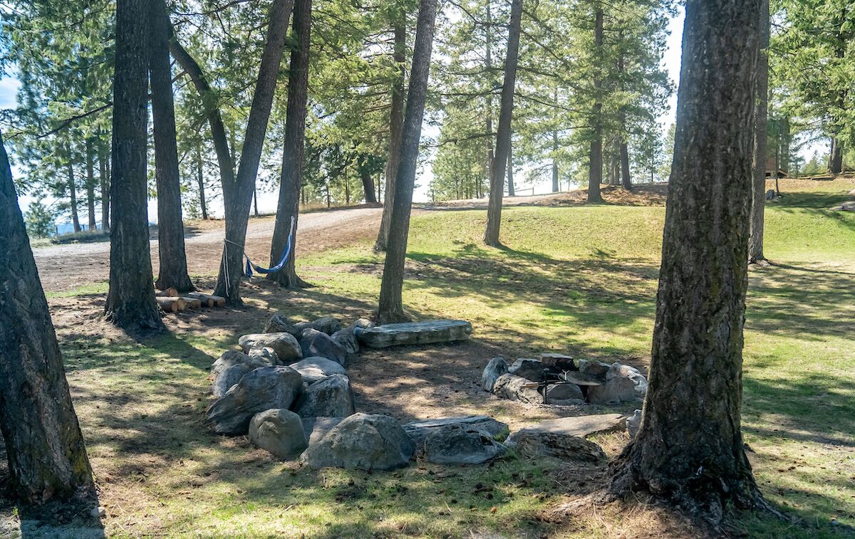 A campsite with trees, a hammock, and a fire pit surrounded by rocks.