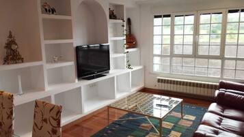 Flat-screen TV