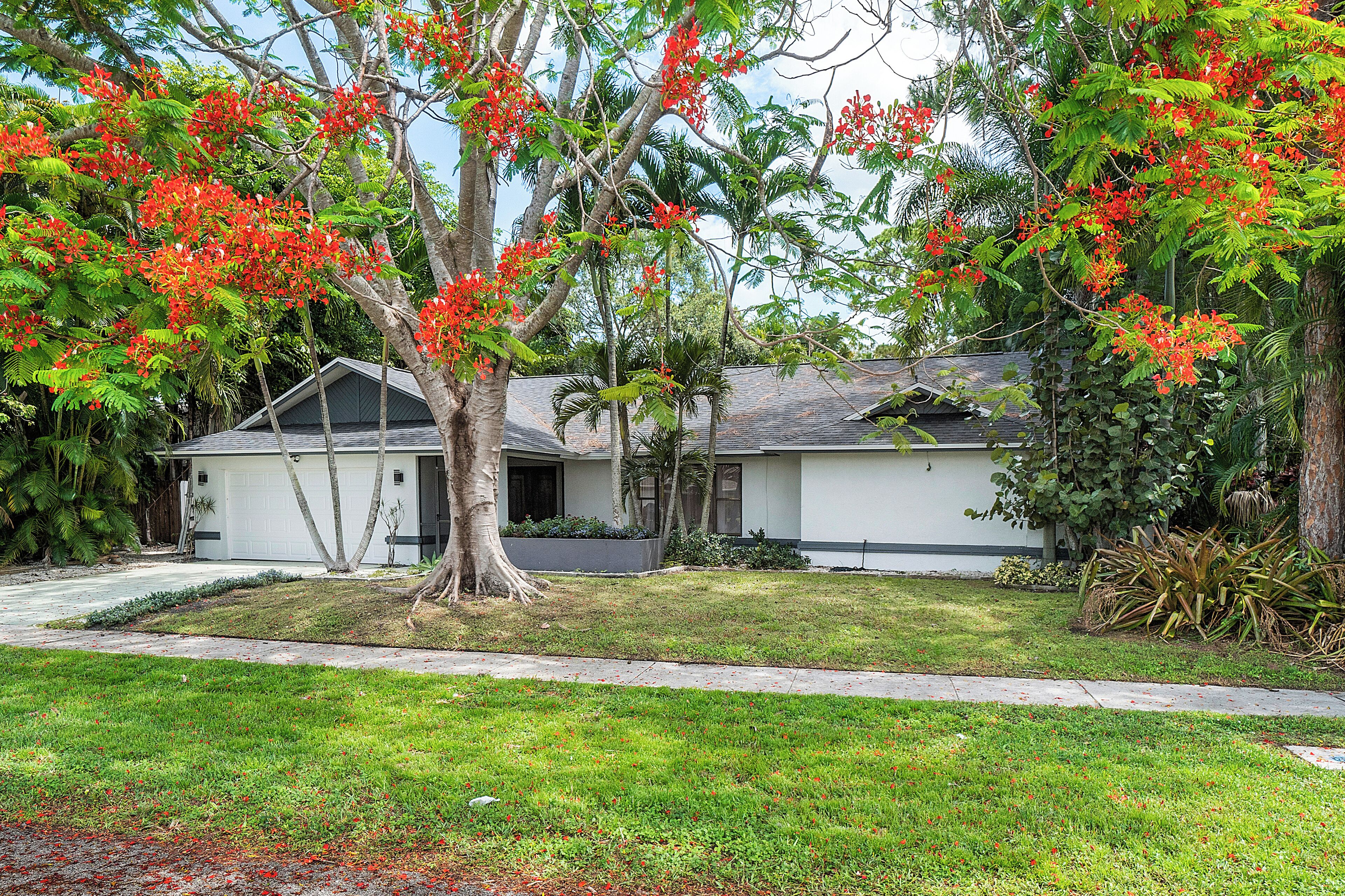 Exotic house 5/3 with gourmet kitchen. Wellington