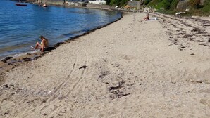 A sandy beach with houses in the background. - LE Kevav - A 300 M DE LA Cote (Locmiquélic)
