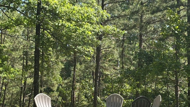 Property grounds - Near The Lake (Bee Branch)