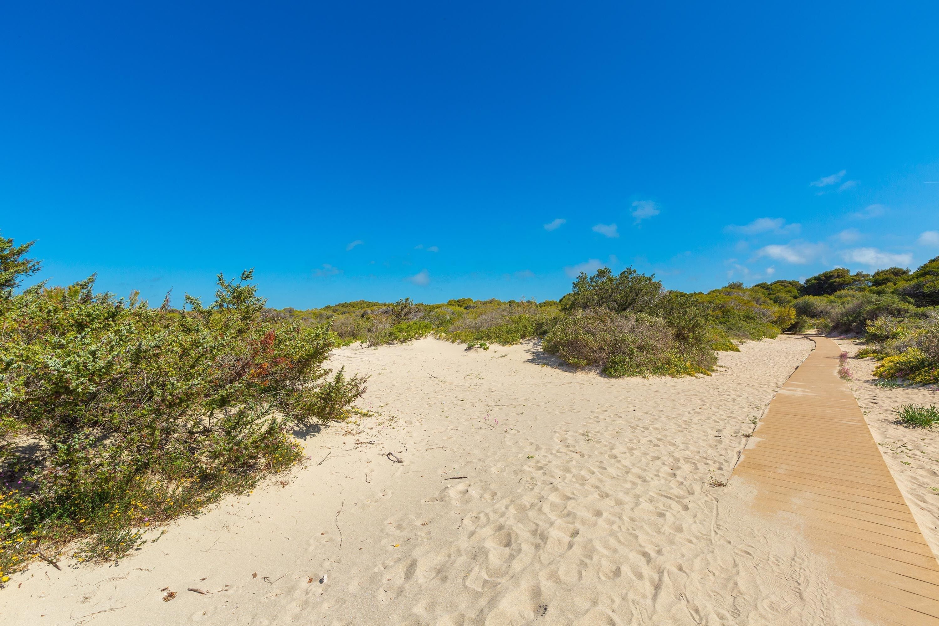 A sandy beach with a wooden boardwalk and dense vegetation.
