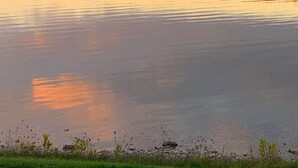 Um lago tranquilo com margens arborizadas e céu claro.