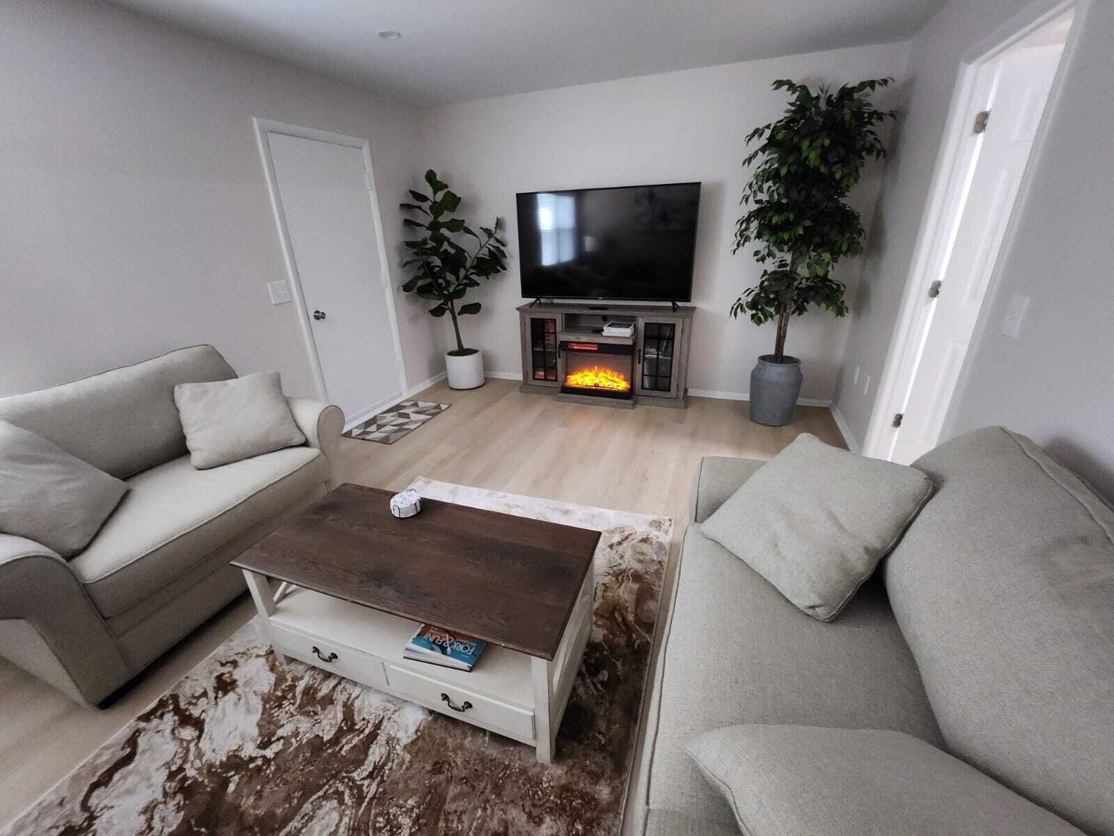 Smart TV, caminetto, libri