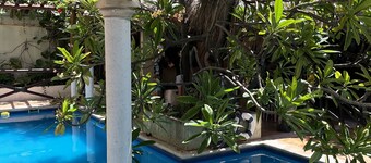 Spend the day at the Soggy Peso Palapa Bar, and spend the night in The Penthouse