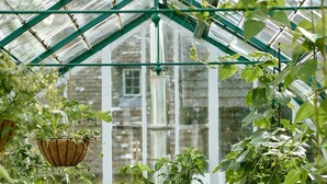A greenhouse with potted plants, a small table, and a window with a view of buildings.