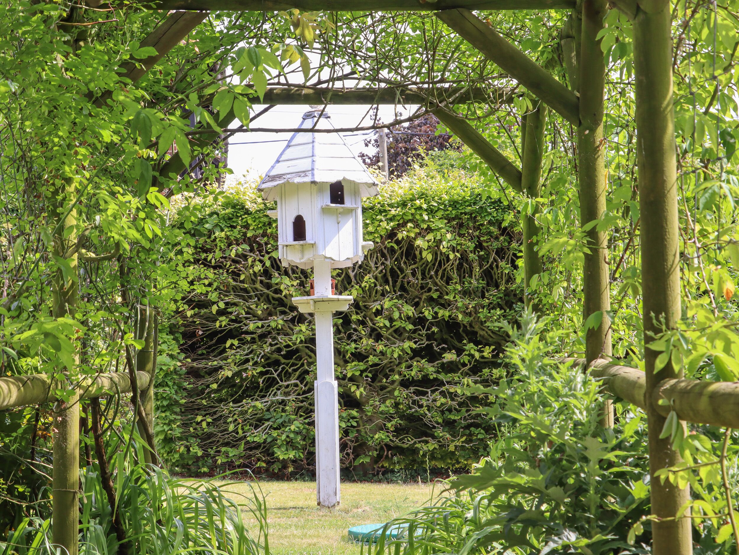 Une nichée à oiseaux dans un jardin à la végétation luxuriante, avec une structure de pergola en bois.