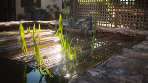 A tranquil pond with clear water, surrounded by rocks and greenery, reflecting sunlight. - Charming cottage within a perigordine farmhouse  (Saint-Cyprien)