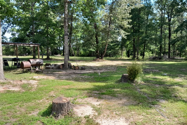 Àrea exterior de l'allotjament