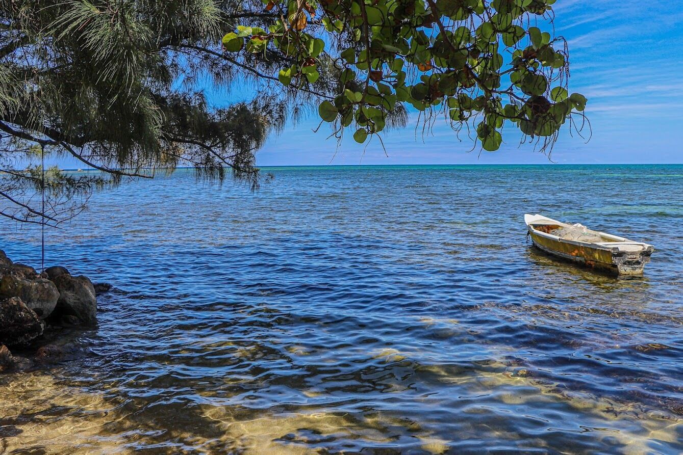 شاطئ