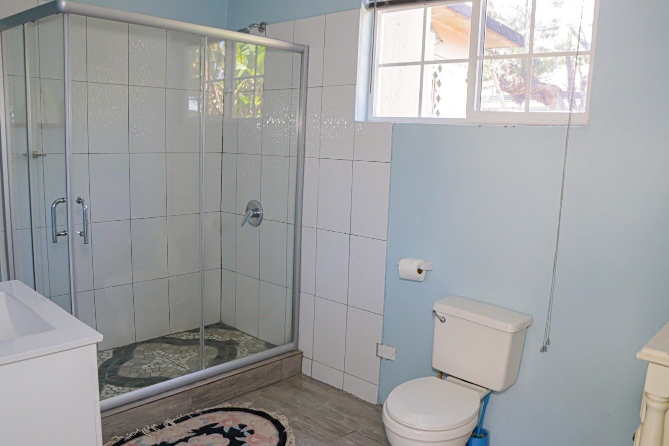 A bathroom with a glass shower enclosure, a toilet, and a window.