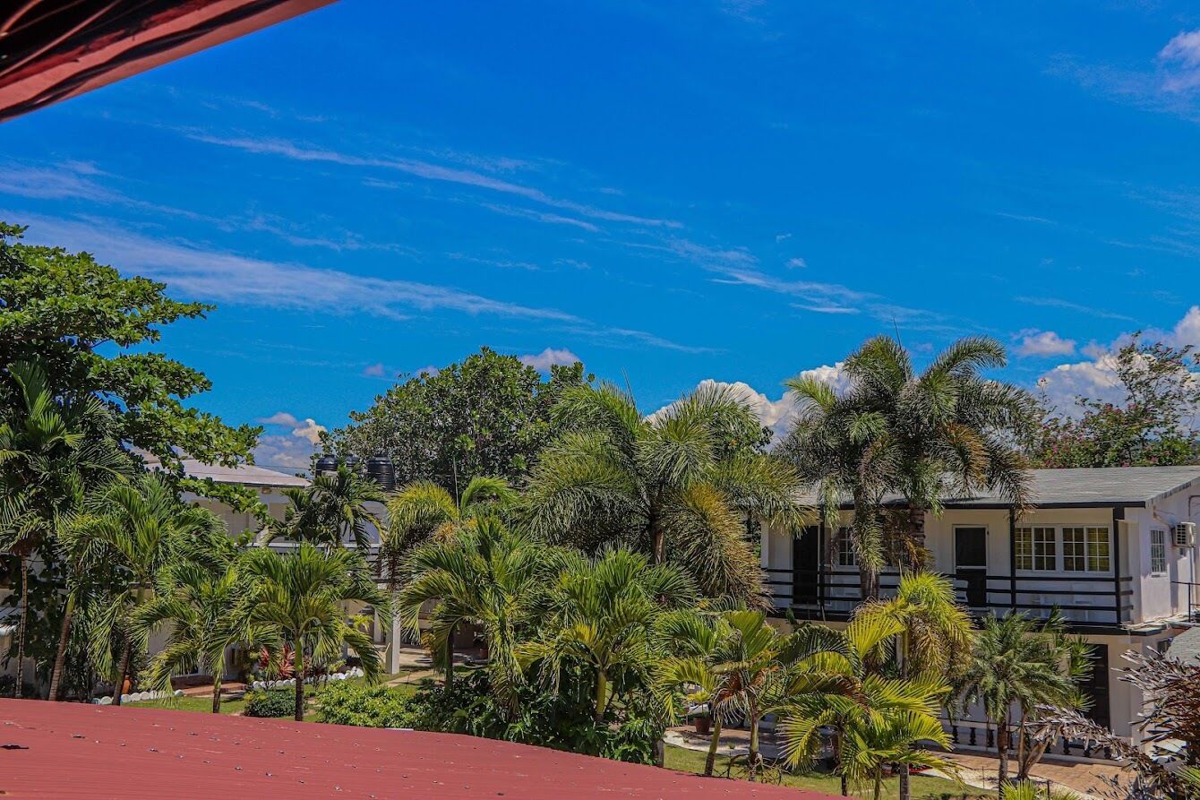 Een resort met meerdere gebouwen, omgeven door weelderige begroeiing en palmbomen.