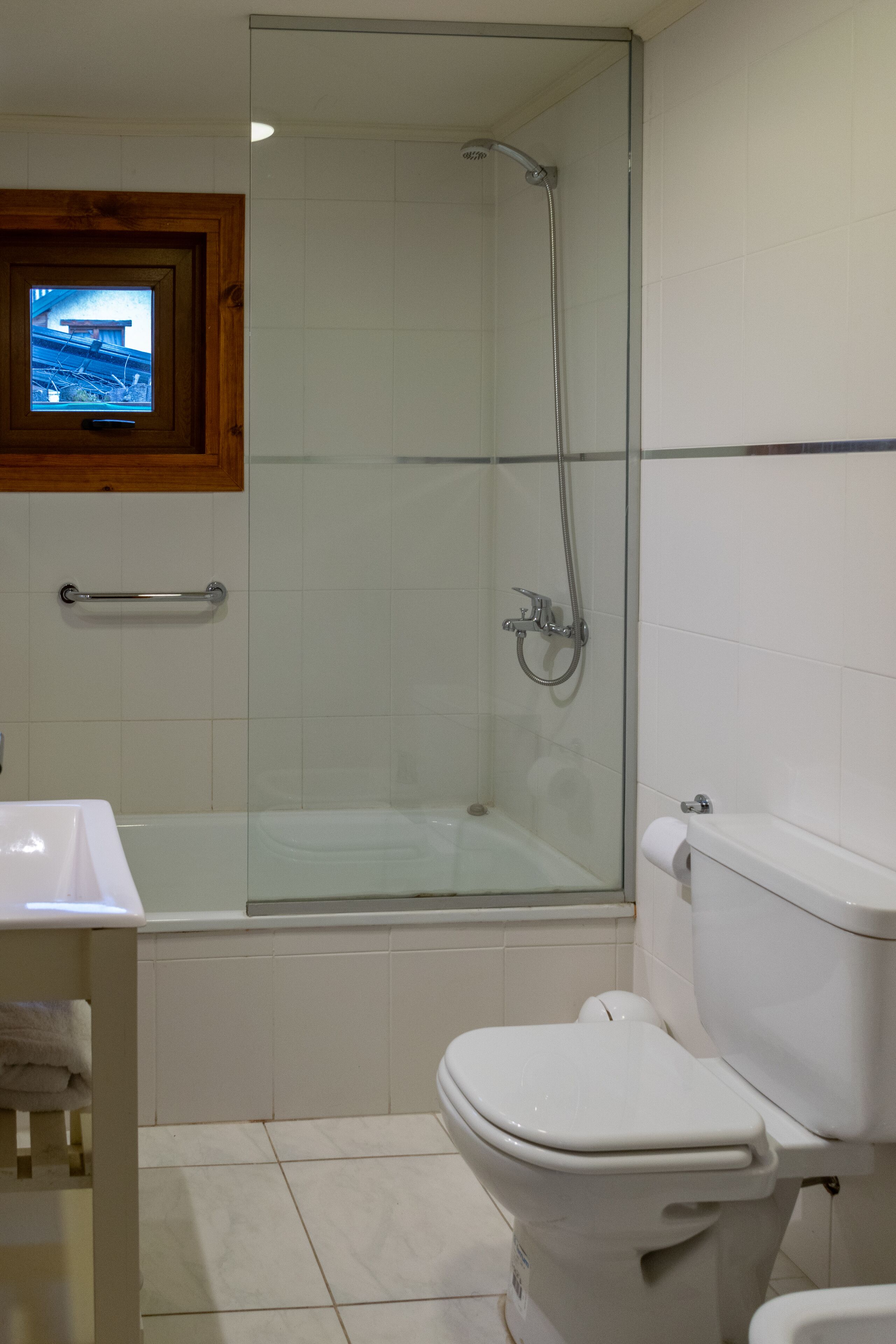 A bathroom with a glass-enclosed shower, a toilet, and a sink.