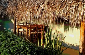 Restauration en plein air