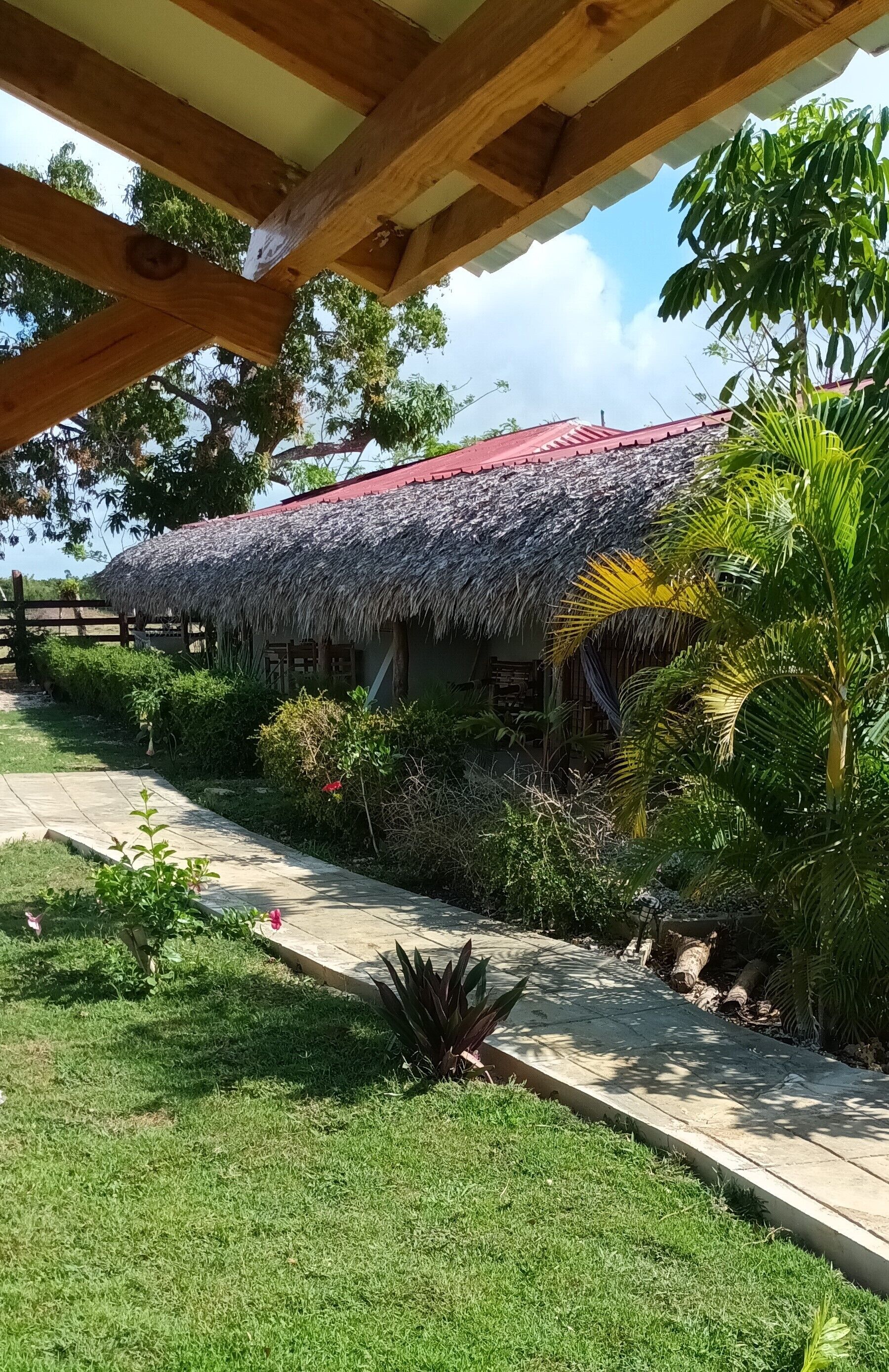 Terrein van de accommodatie