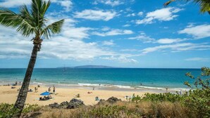A beach with a palm tree, clear sky, and ocean. - Ocean view 1 bedroom, AC, walk to shops, dining, & beaches (Kihei)