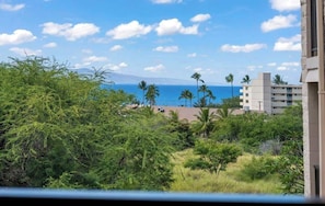 A view of a coastal area with buildings, palm trees, and a clear sky.